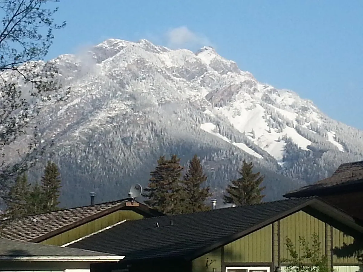Banff Bear Bed & Breakfast